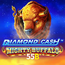 55B