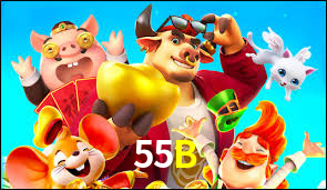 55B,55B.Com